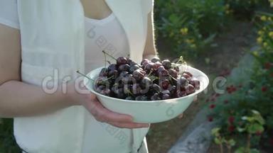 一个女人拿着一个碗，手里拿着成熟可口的樱桃